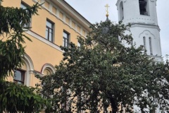 В рамках историко-культурного фестиваля «День дома» состоялся день открытых дверей в Доме присутственных мест в Ломоносове