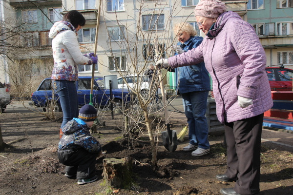 Пусть в Красногвардейском цветёт сирень 