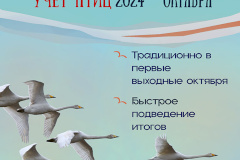 Приглашаем петербуржцев на акцию «Евразийский учет птиц-2024»