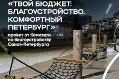 «Твой бюджет» стартует в Петроградском районе с февраля