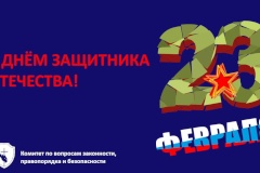 С днём защитника Отечества!