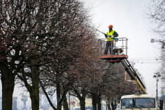Александр Беглов: Садово-парковые предприятия Петербурга готовятся к весне – в городе началась формовочная обрезка деревьев