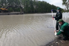 Комитет по природопользованию проверил состояние воды на Нижнем Буферном пруду