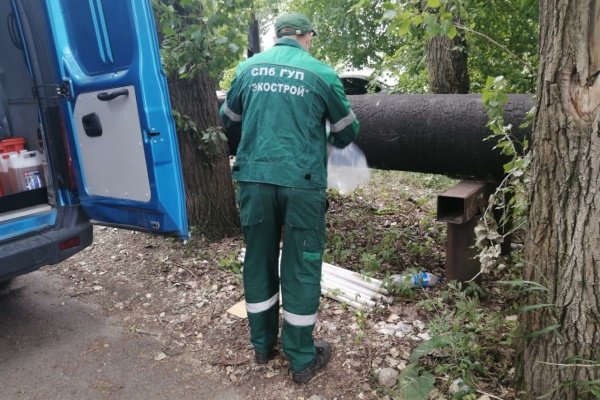 Более 140 обращений в экологические аварийные службы поступило за неделю