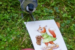 Белки с Елагина острова стали источником вдохновения для конкурса открыток «Рисуй Питер»