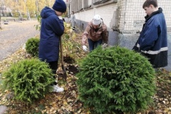 15 марта стартует весенний этап 8-го экологического марафона Калининского района "Сажаем деревья вместе"