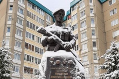 Турнир памяти Героя России Дмитрия Кожемякина