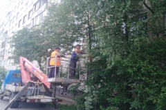 В Выборгском районе продолжается благоустройство территории