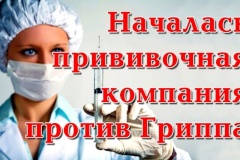 Стартовала прививочная кампания от вируса гриппа