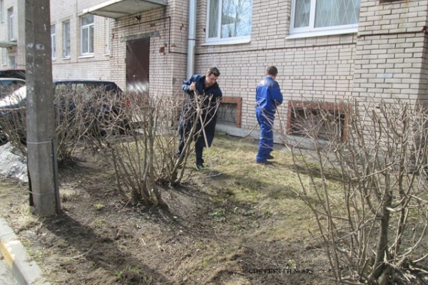  Учреждения здравоохранения Невского района продолжают принимать активное участие в благоустройстве 