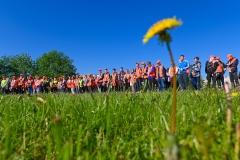Более 200 участников трудовых отрядов будут обеспечивать благоустройство зеленых зон в Купчино