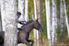 Петербургские конники – призеры чемпионатов России