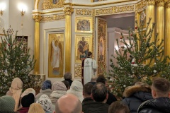 Крещение Господне: места для окунания в ледяных купелях в Пушкинском районе