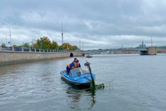 В сезон кошения от растительности были очищены 100 водных объектов Петербурга
