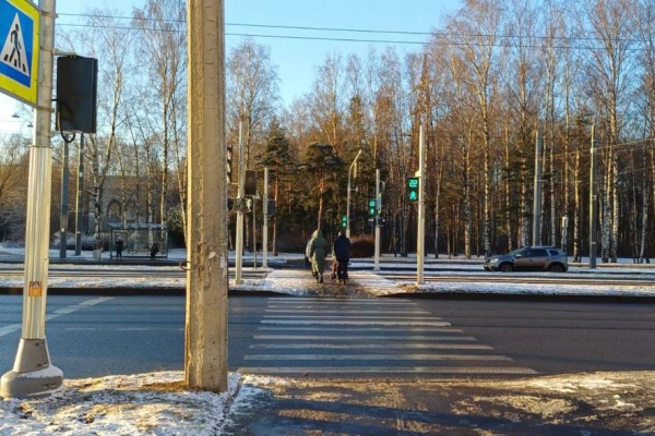 Почти на 80 адресах в разных районах Петербурга обновлены светофорные объекты