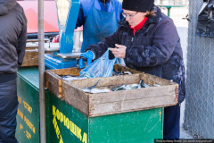 В Кировском районе определены места продажи путинной рыбы