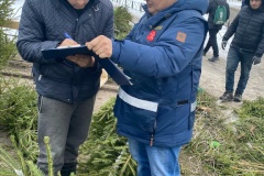 На Гражданском проспекте ликвидировали незаконную торговлю елей