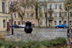 Многолетние растения сада-трансформера посадят на территории Кронштадта