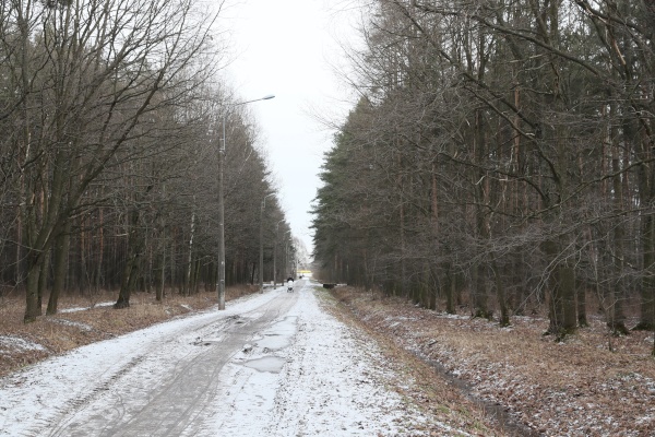 Посещение Парка Александрино