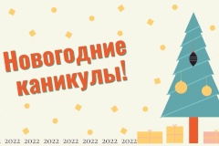 Библиотеки приглашают жителей Невского района на мероприятия в дни новогодних каникул