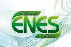 Подведены итоги регионального этапа Первого Всероссийского конкурса ENES