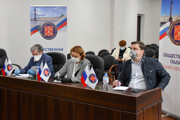 Члены Общественной палаты Петербурга обсудили важность защиты здоровья граждан во время голосования по поправкам в Конституцию