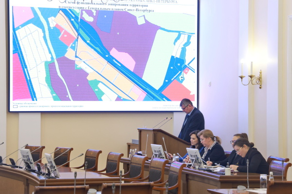 Рабочее совещание: реконструкция улицы Александра Товпеко в поселке Понтонный