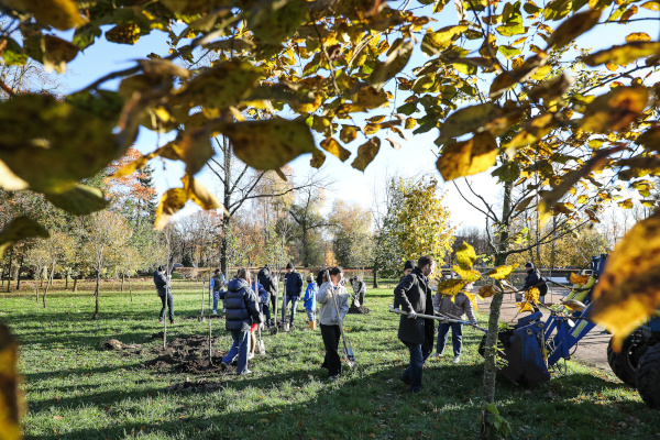 Городской День благоустройства