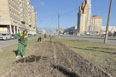 Весеннее преображение Фрунзенского района: подготовка зеленых насаждений к новому вегетационному периоду