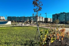 Благоустройство Большого круга в Славянке