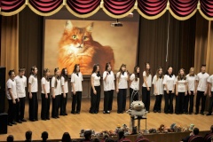 В школе № 345 состоялся обучающий концерт «Физика и кошки»