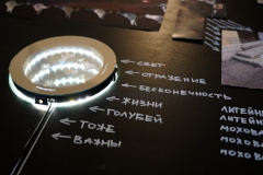 В ноябре работа проекта «Субкультурный ландшафт» продолжится