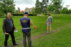 В Приморском районе повышали уровень культуры отдыха