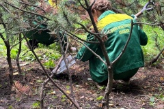 Старт профессионального пути: в Московском парке Победы открылась осенняя практика
