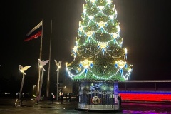 Петербург подарил Мариуполю новогоднюю елку