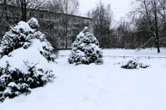 "Ёлочные" итоги района после новогодних каникул