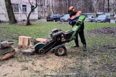 В Красногвардейском районе продолжается комплекс мер по уходу за растениями