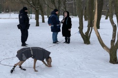 В Таврическом саду проверили соблюдение правил выгула собак в сопровождении СМИ