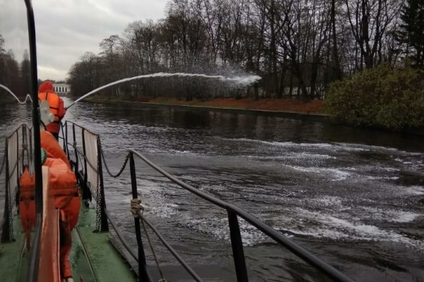 За неделю экологические аварийные службы совершили более 30 выездов