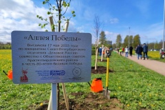 30 деревьев высадили в Красногвардейском районе в честь 80-летия Победы.