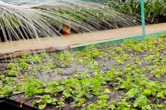 В Приморском парке Победы продолжаются работы в зимней оранжерее