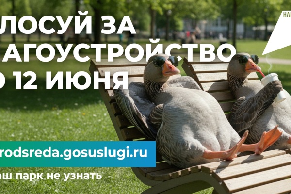 Выборгский район участвует во Всероссийском голосовании за благоустройство