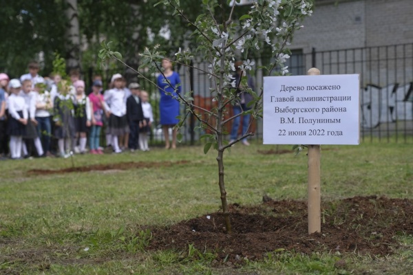 Алое небо 41 года