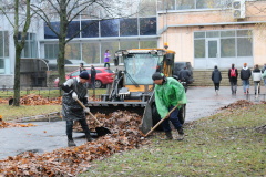 Жители Кировского района вышли на «Добрый субботник»