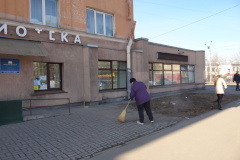 Учреждения культуры на страже чистоты Невского района