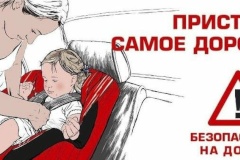 С 21 октября по 01 ноября 2019 года на территории Невского района Санкт‑Петербурга проводится профилактическое мероприятие по правилам перевозки детей «Пристегнись!»